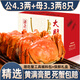 【活蟹】臻原生大閘蟹鮮活螃蟹現貨蘇州海鮮水產(chǎn)生鮮河蟹禮盒 公4.0-4.3兩母3.0-3.3兩 4對8只