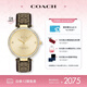 蔻馳（COACH）PARK系列C標(biāo)壓紋皮表帶34mm 石英女表 14503456 七夕禮物/送禮