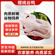 崠鮮精選櫻桃谷鴨1只裝2斤 煲湯食材鴨子肉 源頭直發(fā)