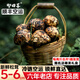 智田喜雅江松茸新鮮高品質(zhì)未開傘松茸菌菇野冷鏈空運(yùn)多地次日達(dá)生日送禮 未開傘松茸5-6cm 凈重 500g
