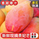 久雅優(yōu)鮮貴妃芒現摘樹(shù)上熟當季紅金龍辣椒甜心芒廣西孕婦新鮮水果禮盒 凈重4.5-5斤（60g-100g）