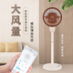 優(yōu)菲特L6智能ai語(yǔ)音空氣循環(huán)扇家用輕音電風(fēng)扇立式靜音落地扇臥室搖頭電風(fēng)扇 奶咖色