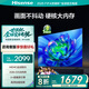 海信電視 55D3KH 55英寸 U畫(huà)質(zhì)引擎 MEMC 2+32GB 4K液晶巨幕 以舊換新家電國(guó)家補(bǔ)貼20% 55D3KD升級(jí)款