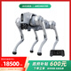 宇樹(shù)（Unitree）Go2 語(yǔ)音 AI大模型 機(jī)器狗Go2 電子狗 具身智能 伴隨 仿生陪伴機(jī)器人 四足機(jī)器狗 Go2-Pro+遙控器