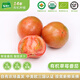 有機(jī)匯有機(jī)美味番茄 草莓西紅柿 黃金酸甜比風(fēng)味可口 可生食涼拌沙拉 500g