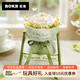 若客（ROKR）花間集白山茶 積木花束diy手工拼裝永生花玩具生日禮物創(chuàng)意擺件