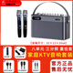 YTFY柏林之聲戶外音響家庭KTV音響設(shè)備套裝便攜式K歌直播樂器聲卡音箱 音響+配雙麥