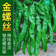 香辣螺絲椒種子大果青辣椒種籽春四季大棚陽(yáng)臺盆栽蔬菜種子大全 螺絲椒種子【1包 約100?！? title=