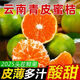 新鮮云南蜜桔青皮蜜橘應(yīng)季柑橘子無籽桔子新鮮孕婦水果整箱包郵 5斤【鮮嫩多汁】凈重4.5-5斤