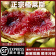 無花果五斤裝正宗特級(jí)新疆格萊斯無花果當(dāng)季新鮮現(xiàn)摘時(shí)令水果整箱 精選大果【大果】 3斤裝