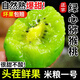 三萌果蔬綠心獼猴桃 當(dāng)季新鮮奇異果孕婦水果陜西米糧一號(hào)獼猴桃現(xiàn)摘整箱 5斤精選裝【顆顆精選】?jī)糁?.5斤