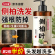力仕康側柏葉洗發(fā)水生姜何首烏中草本藥植物洗頭發(fā)液防斷控油去屑脫發(fā)用
