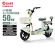 臺鈴電動自行車【國家補(bǔ)貼】小錦鯉50公里長續(xù)航電動車鉛酸電池48V13Ah電瓶車新國標(biāo)碧波綠