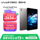 vivo Pad5 Pro平板 藍(lán)晶x天璣9400旗艦芯 13英寸原彩護眼屏 PC級輕辦公平板電腦 【標(biāo)準(zhǔn)版】寒星灰 12GB+256GB