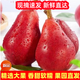 紅啤梨5斤河南靈寶高山新鮮軟梨現(xiàn)摘當(dāng)季紅皮啤酒梨太婆梨老人梨 大果嚴(yán)選裝單果120g一150g強(qiáng)烈紅 3斤