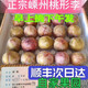 正宗浙江嵊州金庭桃形李江南名果特產(chǎn)紅心脆甜自產(chǎn)銷精品大果順豐 0g 40-50g1盒20枚【禮盒精品】