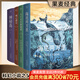 【官方直營】 凡爾納經(jīng)典科幻小說系列（四本套）（科幻小說之父代表作，《海底兩萬里》《神秘島》《地心游記》《八十天環(huán)游地球》未刪節(jié)譯本）果麥出品  閱讀狂歡節(jié)
