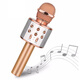 品怡 WS-858 K歌無(wú)線(xiàn)藍牙音響話(huà)筒一體兒童KTV玩具麥克風(fēng) 非洲 WS858玫瑰金色