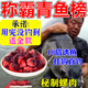 青魚(yú)專(zhuān)用餌料專(zhuān)攻黑坑青魚(yú)大物餌料青魚(yú)顆粒螺肉餌料釣魚(yú)巨青螺肉 【買(mǎi)三贈二】魚(yú)塘我全包