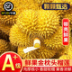 梓頤泰國金枕榴蓮新鮮果整箱長柄榴蓮金枕頭進(jìn)口A果整個(gè)帶殼熱帶水果 品質(zhì)級 果型更好丨50年老樹果 老樹報(bào)恩凈重3-4斤1個(gè)裝