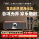麥樂迪K501家庭ktv音響套裝回音壁藍(lán)牙音箱家用客廳電視k歌音響卡拉ok一體機(jī)唱歌全套設(shè)備家庭影院 K501_氣壯山河版+演出級(jí)話筒