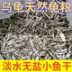 灌湘鳥龜糧蝦干魚干淡水新鮮無鹽晾曬烏龜飼料淡水魚草龜幼龜巴西龜食物 淡水無鹽小魚干 1100-1300條【不吃包退】