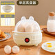 日本進(jìn)口新款家用煮蛋器蒸包子雞蛋神器自動(dòng)斷電宿舍小型 單層 蒸蛋器+量杯（自動(dòng)斷電 防干燒）