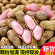 當季現挖鮮花生農家種植帶殼花生飽滿(mǎn)鮮花生新鮮花生 超值10斤裝