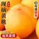 沐小七果蔬正宗山東錦繡黃桃當(dāng)季新鮮黃毛桃現(xiàn)摘桃子非山東蒙陰水果中秋送禮 7A甄選果【爆甜】 | 超推薦 5斤【爆款主推-80%選擇】?jī)?.5斤