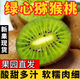 現摘綠心獼猴桃奇異果新鮮孕婦水果5斤大果非徐香獼猴桃整箱包郵R 3斤【帶箱實(shí)惠】