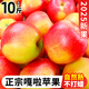 正宗嘎啦蘋果新鮮當(dāng)季水果9斤山西紅富士脆甜冰糖心丑平果旮旯H 凈重5斤