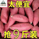 新鮮龍九紅薯板栗紅薯 搶 9 斤 蜜薯甜糯沙地黃心地瓜番薯 中大果3-8兩 烤、蒸煮合適 整箱發(fā)貨-9斤