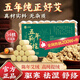 金泰康艾柱54粒 艾灸柱艾條五年純正蘄艾草艾葉條艾絨柱棒三伏天熏香