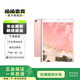 Apple 蘋(píng)果平板電腦iPad Pro 10.5寸 2017款 1代二手平板電腦 大陸國行 玫瑰金色 64G