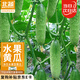 北蔬 水果黃瓜種子苗青瓜夏盆栽菜籽 卓脆濰胖二號水果黃瓜種子100粒