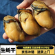 【京東冷鏈】生蠔干大號牡蠣干廣東湛江野生海海鮮蠣蠔豉生蠔干新 精品/野生250g【約100只】