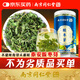 南同九坊南京同仁堂 酸棗芽茶搭泰野酸棗葉生茶山睡嫩眠芽2025早春新茶50g
