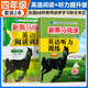 2026新黑馬閱讀英語(yǔ)四年級新黑馬英語(yǔ)閱讀理解訓練+小學(xué)英語(yǔ)聽(tīng)力訓練四年級人教版閱讀理解訓練題人教版階梯閱讀 四年級英語(yǔ)聽(tīng)力提升版+英語(yǔ)閱讀