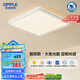 歐普（OPPLE）吸頂燈智控調(diào)光LED照明燈具全光譜智慧光方臥品見4白包安裝