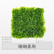 森淵（SENYUAN）魚(yú)缸沉木造景莫斯水草散裝莫絲陰性活體植物火焰大三角鹿角苔垂淚 珊瑚莫斯5*5一片