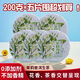 原料2025年云南普洱茶生茶餅茶200g大樹茶茉莉花生普茶餅花茶禮品 茉莉普洱生茶餅200克五餅【劃算】