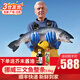 崇鮮挪威冰鮮三文魚(yú)整條 大西洋鮭肉腩刺身 海鮮禮盒生吃魚(yú)片年貨禮盒 三文魚(yú) 10-12斤默認分割發(fā)貨 5kg