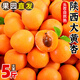 陜西大黃杏子新鮮水果2025當季特大巨蜜金太陽(yáng)杏酸甜杏子整箱 5斤 【精選大果】