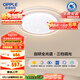 歐普（OPPLE）護眼全光譜吸頂燈臥室燈LED滿天星高亮線條簡約奶油風(fēng)包安裝 心晴