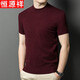 恒源祥【含羊毛】短袖男秋冬季半高領(lǐng)毛衣中年男士針織打底衫 紫紅 2XL