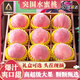 鮮級佳山東水蜜桃【順豐-送貨上門(mén)】新鮮桃子水果整箱毛桃水蜜桃禮盒 凈重2斤中果【6-7個(gè)】 順豐-多地隔日達