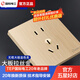 國際電工暗裝86型開關(guān)插座拉絲金色大板五孔電源插座雙控多控開關(guān)按鍵面板 五孔插座(10A)