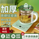 電熱水壺養(yǎng)生壺小型辦公室多功能全自動(dòng)家用玻璃燒保溫?zé)畨鼗ú柚蟛杵鳠踔笠惑w煮茶壺?zé)畨?綠色加厚防爆玻璃1.8升智能養(yǎng)生壺 1.8L