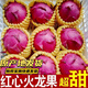 正宗廣西金都一號(hào)紅心火龍果當(dāng)季新鮮水果整箱批發(fā)火龍果紅心紅肉 紅心火龍果小果3斤9-12個(gè)
