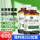 ZAZZEE NATURALS美國青蒿素膠囊天然純青蒿提取物保健品原裝進(jìn)口強(qiáng)免疫力清壞細(xì)胞 [含5%生物堿配方版] 青素膠囊120粒2瓶